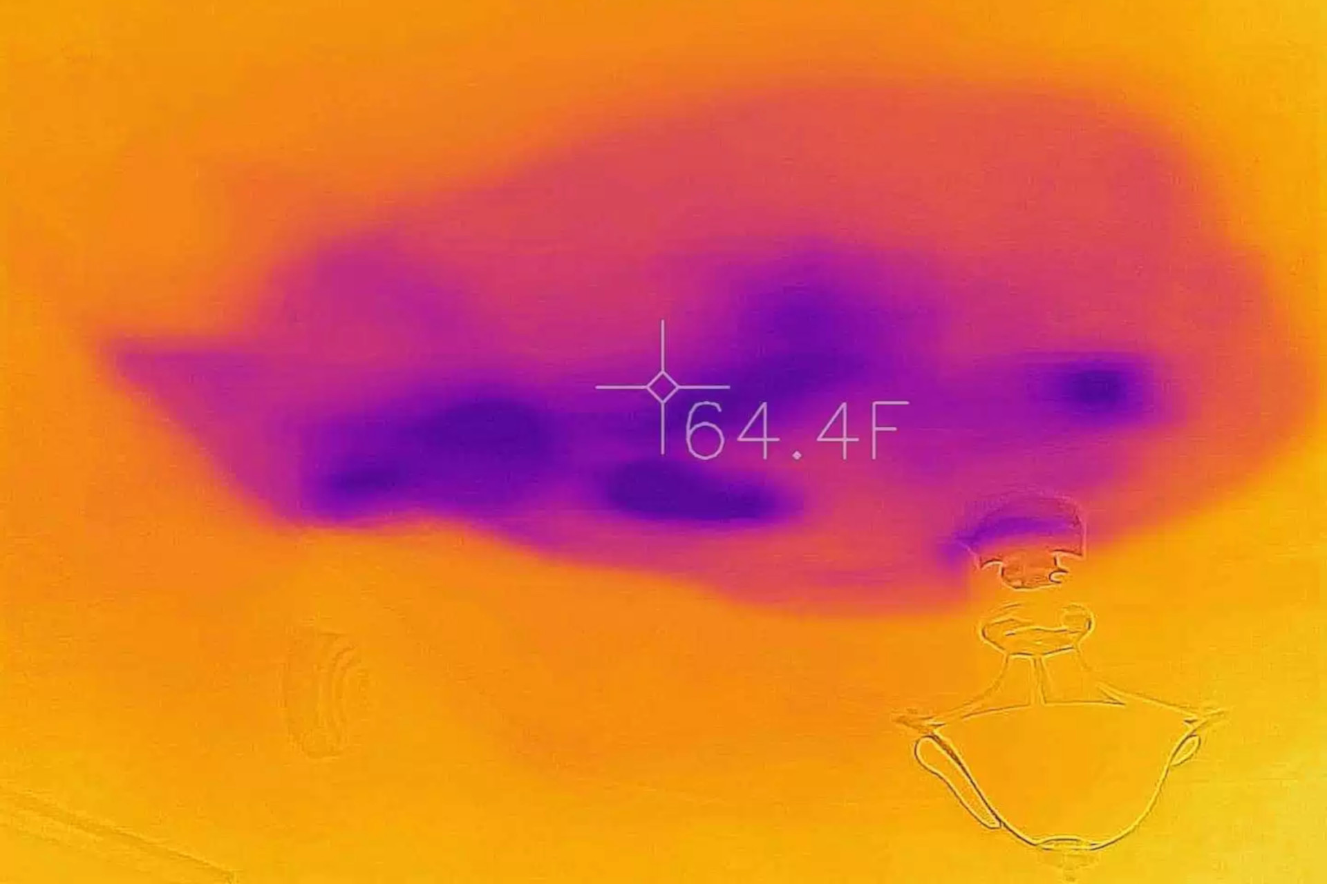 Mould detection via thermal imaging