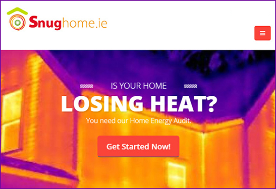 See www.snughome.ie for a home energy audit